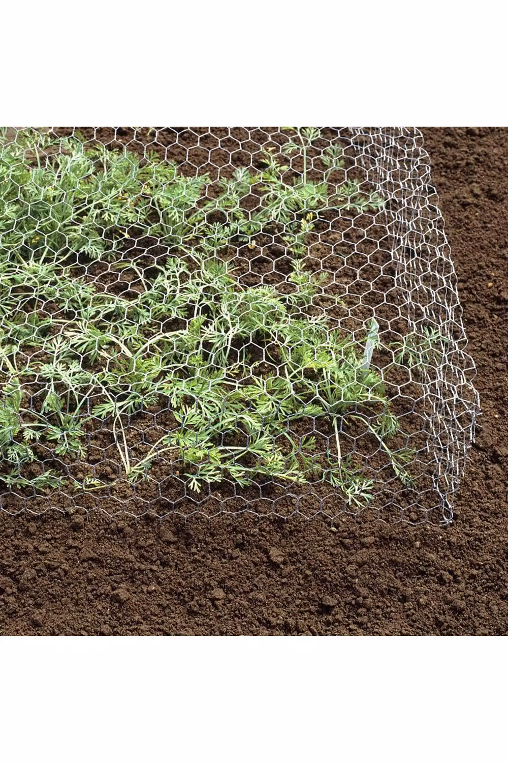 Living and Home Galvanised Silver Hexagonal Wire Mesh Fence Netting, 0.9 x 10 m – 3