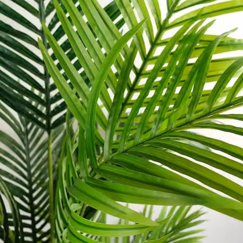Leaf Design UK Extra Large Green Artificial Palm Tree, Height: 180 cm – 2