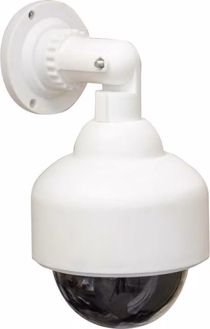 Eagle Dummy Dome Surveillance Camera - White and Red