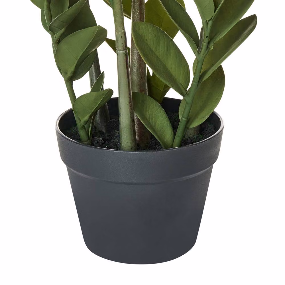 Wyld and Coco 76 cm Artificial Potted Zamiifolia Green and Black Indoor Decorative Plant – 4