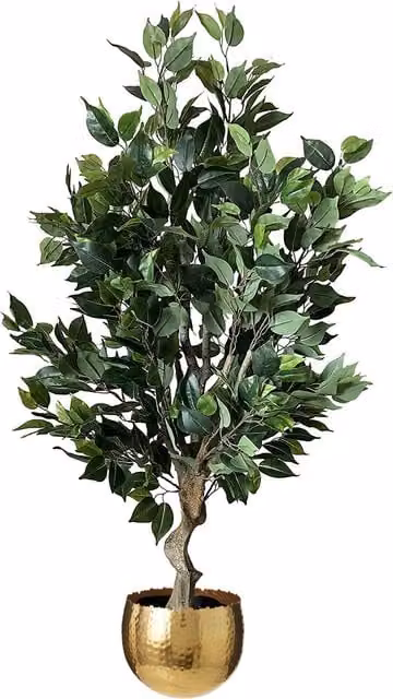 Premium Artificial Ficus Twist Tree in Green with Dark Bushy Gold Curve Leaves and Metal Stand