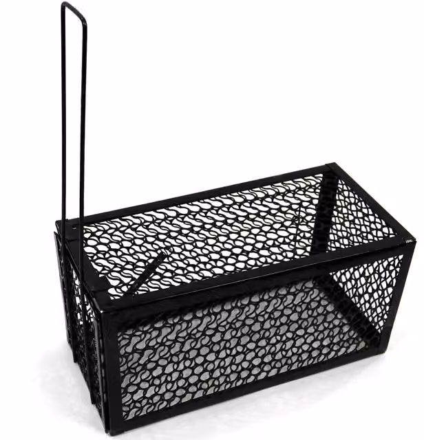 Actiaspet Humane Mouse Trap in Black Metal