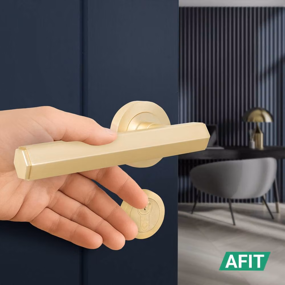 AFIT Brass Fire Door Handle with Euro Lock, Double Cylinder and Hinges in Gold, 150 x 150 mm – 3