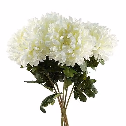 Leaf Pack of 6 White Extra Large Reflex Chrysanthemum Artificial Flowers, Height: 75 cm