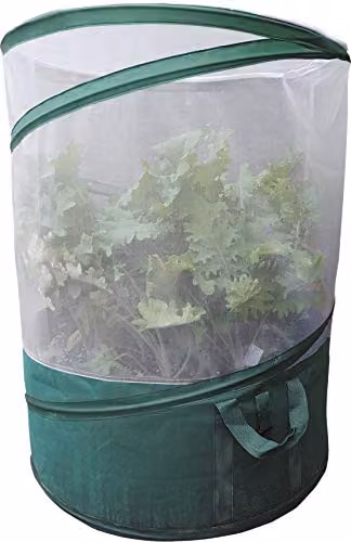 St Helens Home and Garden Green Enclosed Grow Bag Planter