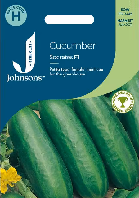 Johnsons Socrates F1 Cucumber Vegetable Seeds