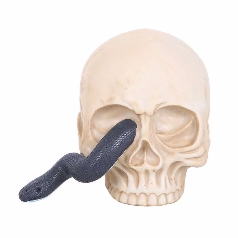 Uniqueful Multicolour Skull Ornament with Snake, Height: 15 cm – 3