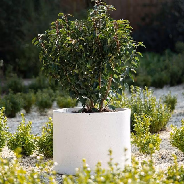 Primrose Handmade Fiberstone Cylinder Garden Planter Tub, White, 136l