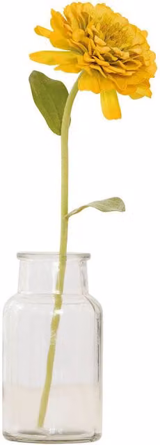 Bloom Yellow Artificial Single Zinnia Flower Stem, Length: 30 cm