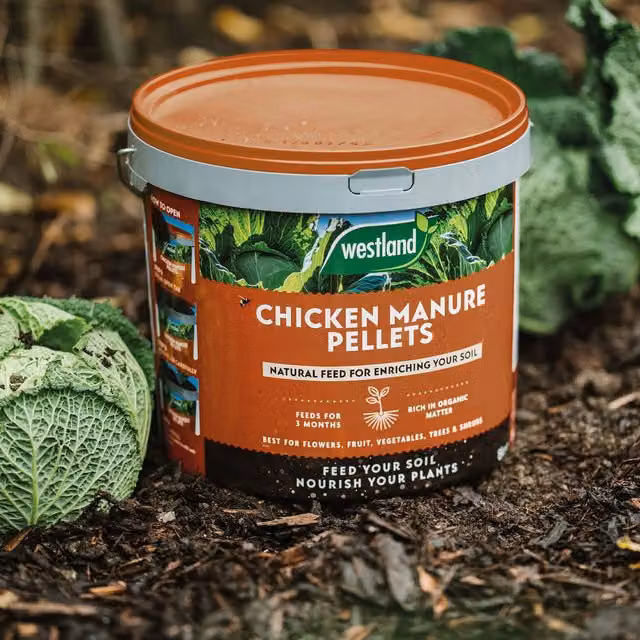 Westland Organic Chicken Manure Pellets, Slow Release Brown Fertilizer for Vegetable, Ornamental and Indoor Plants