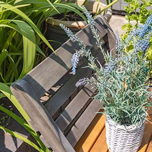 Rowlinson Alderley Small Wooden Plant Ladder Planter in Grey and Multicolour, W: 65 cm, D: 80.5 cm, H: 50 cm – 6