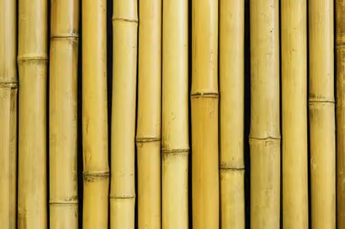 Primrose Natural Thick Bamboo Privacy Screening Roll in White and Brown, W/H: 180 x 190 cm – 3