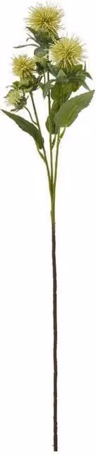Lemon Pavilion Furniture and Decor Hill Interiors Safflower Spray in Green and Yellow, Height: 57 cm
