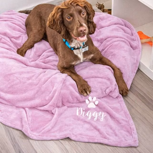 Duncan Stewart Personalised Fluffy Pink Dog Blanket Throw, W/D/H: 180 x 140 x 1 cm