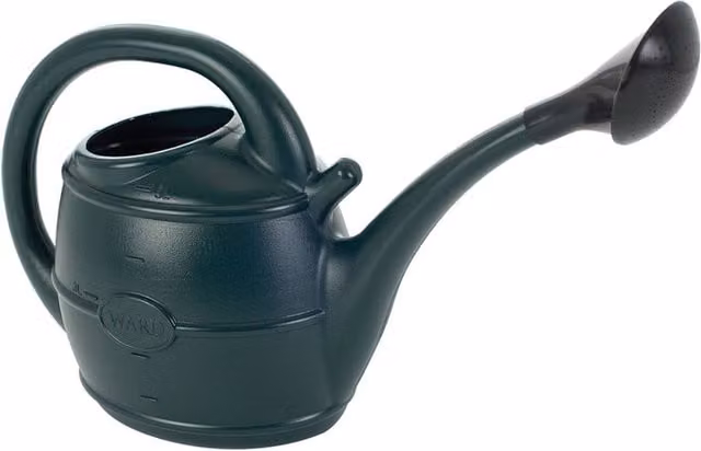 Ward Green 2 Gallon Plastic Watering Can with Rose