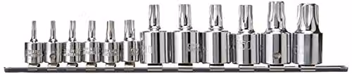 Bluespot Tools 12 Piece Torx Socket Set with 1/4 and 3/8 Inch Square Drive in Silver Chrome Vanadium – 2