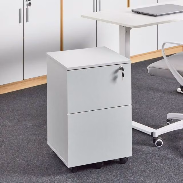 Wyld and Coco Light Grey 2-Drawer Key-Locked Office Storage Unit on Castors – 1