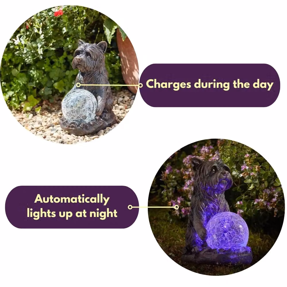 Marco Paul Multicolour Solar Powered Dog Garden Ornament – 6