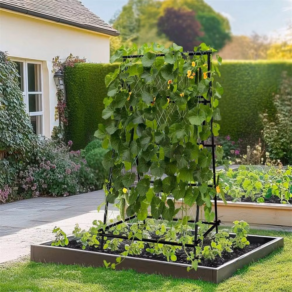 Hinsinc A Frame Black Garden Cucumber Trellis Support, W/D/H: 105 x 105 x 176 cm – 2