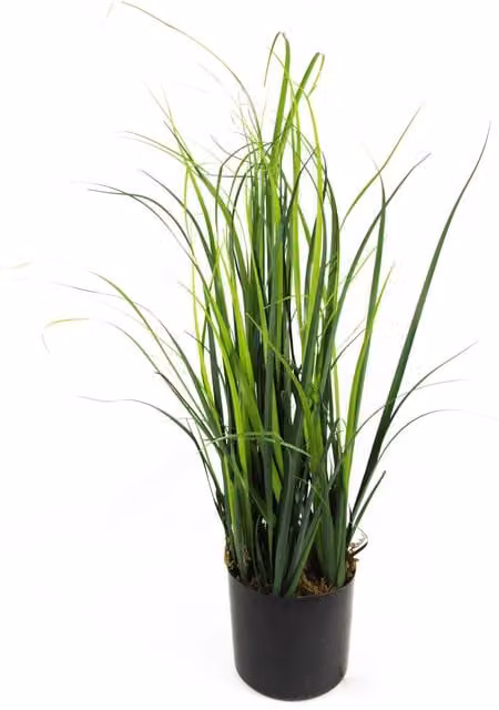 Leaf Design UK Green Artificial Lemongrass Grass Plant