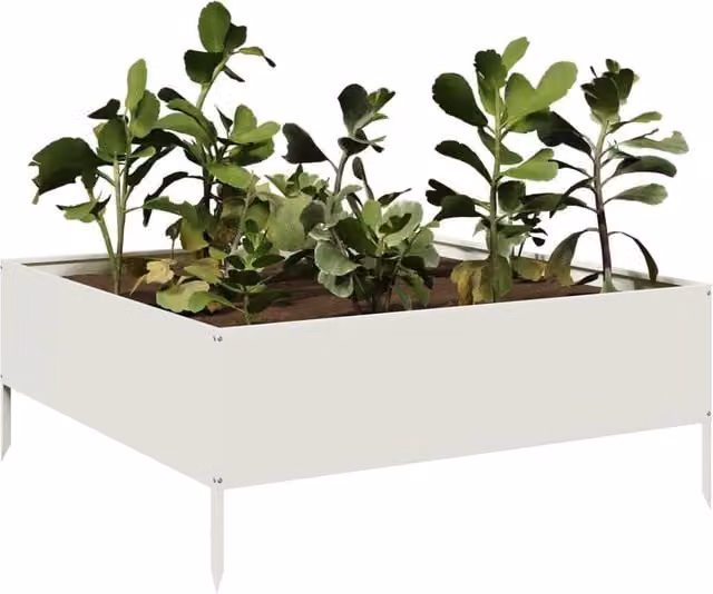 Berkfield Home Garden White Steel Raised Bed W/D/H: 100 x 100 x 25 cm