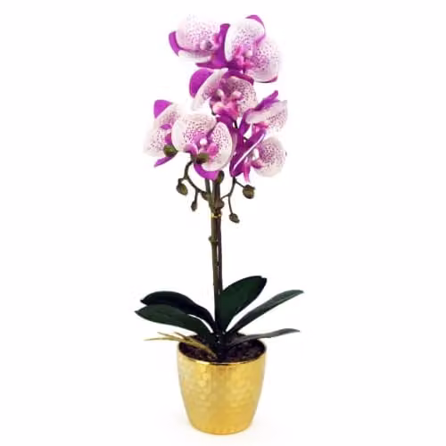 Leaf Design UK 50cm Phalaenopsis Artificial Orchid in a Pink Gold Pot with Purple and White Flowers