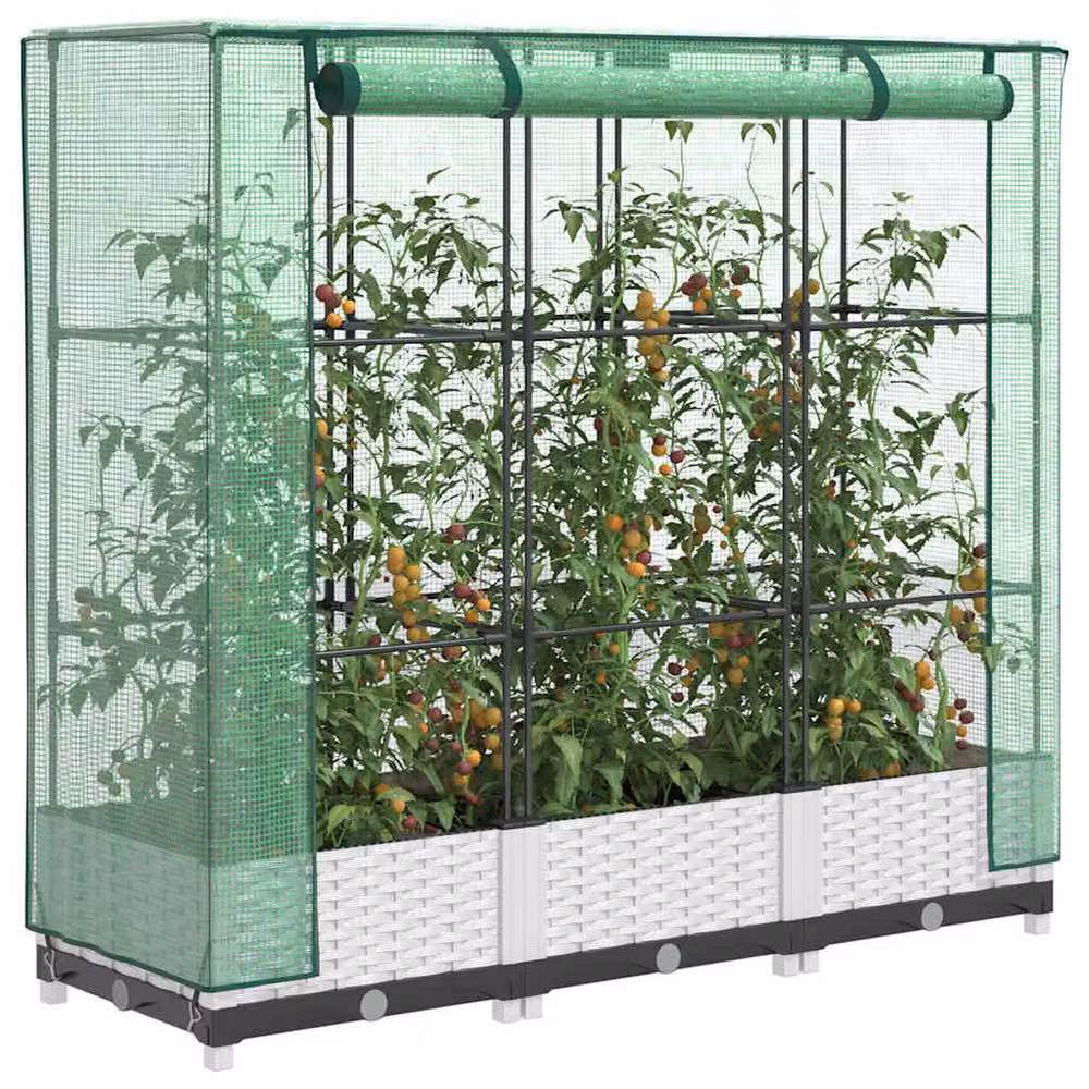 Berkfield Home Raised Bed with Greenhouse Cover in White Rattan Look, W/D/H: 120 x 40 x 123 cm – 2