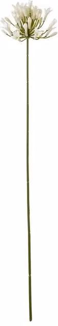 Hill Interiors Agapanthus Artificial Flower Spray in Beige and White
