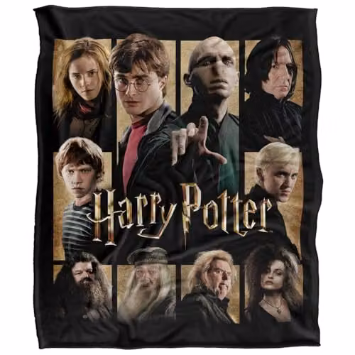 LOGOVISION Harry Potter Heroes and Villains Squares Super Soft Silky Touch Fleece Throw Blanket, Multicolour, W: 127 cm x D: 152.4 cm – 1