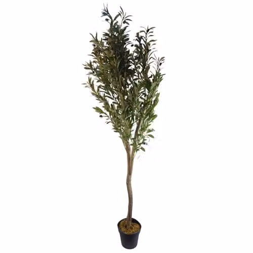Leaf Design UK Green Artificial Olive Tree in a Black Plastic Pot, H 150 cm x W 50 cm x D 50 cm – 1