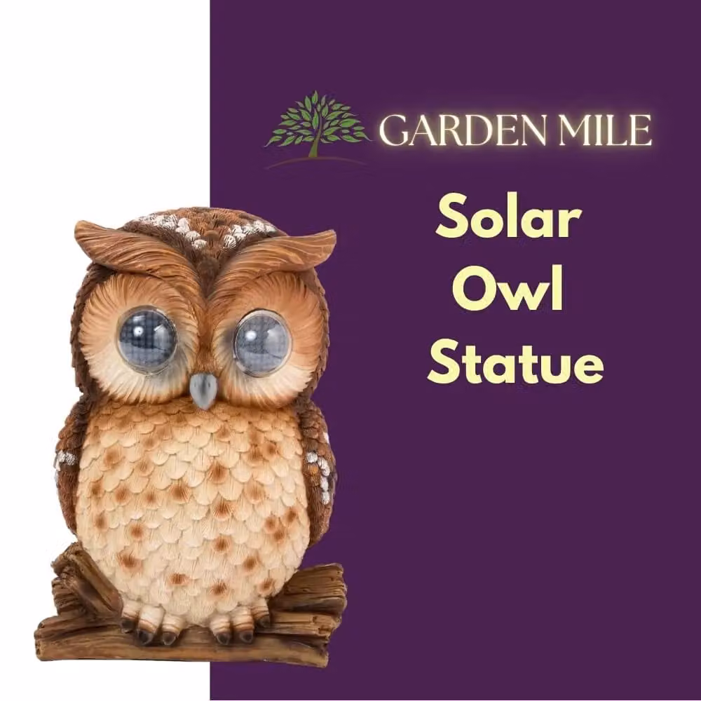 Marco Paul Solar Powered Blinking Owl Garden Ornament, Brown, Height: 25 cm – 3