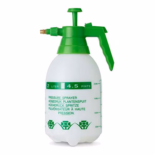 Pelle & Sol Manual Pump Action Pressure Sprayer in Green and Multicolour, 2 L
