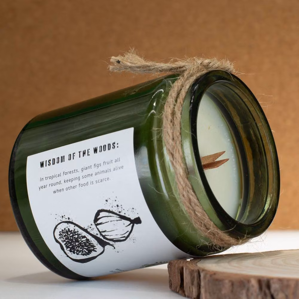 Serenityy Fig & Cassis Soy Wax Aroma Woodwick Candle in Dark Green, 50 g – 3