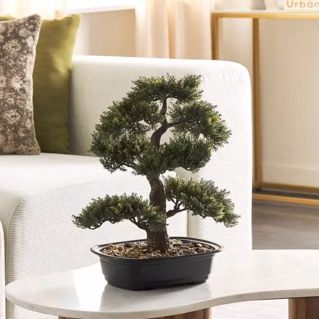 Wyld and Coco Realistic Artificial Bonsai Tree in Green and Black Concrete Pot, Height: 44 cm