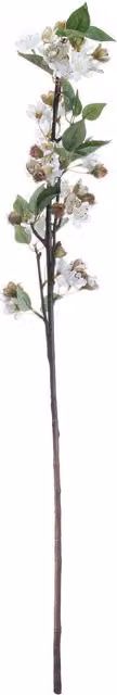 KDMK Spring Floral English Blossom Branch Decor in Brown, White and Pink