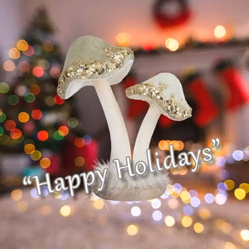 VFM e-Store Christmas Velvet Mushroom Tabletop Decoration, Green, W: 21 cm, D: 19 cm, H: 19 cm – 3