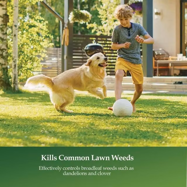 Vitax Lawn Clear Feed and Weed 200 g