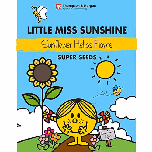 Thompson and Morgan Little Miss Sunshine Sunflower Helios Flame Yellow Ornamental Garden Seeds – 1