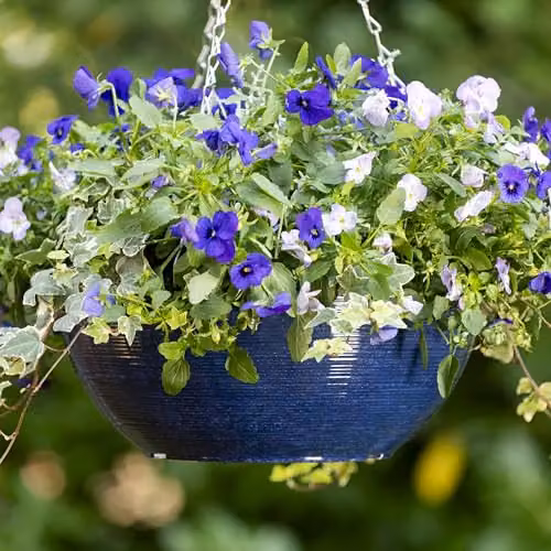 Garden Gear Ocean Blue Glazed Effect Hanging Basket with 50cm Three Way Metal Chain, Diameter: 35 cm – 2