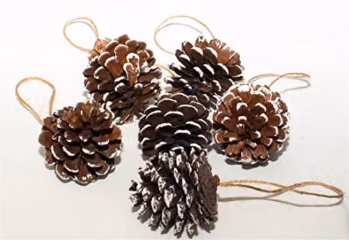 Netagon Home White Tipped Brown Hanging Pine Cone Bauble Decorations, Pack of 6 – 5