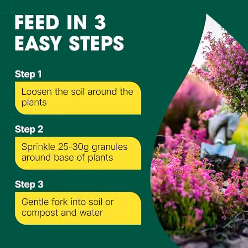Doff Slow Release Ericaceous Feed 1 kg – 3