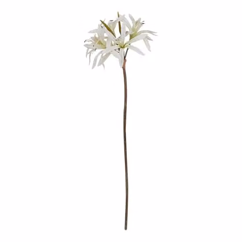 Hill Interiors Natural Garden Collection White Nerine Lily Artificial Flower
