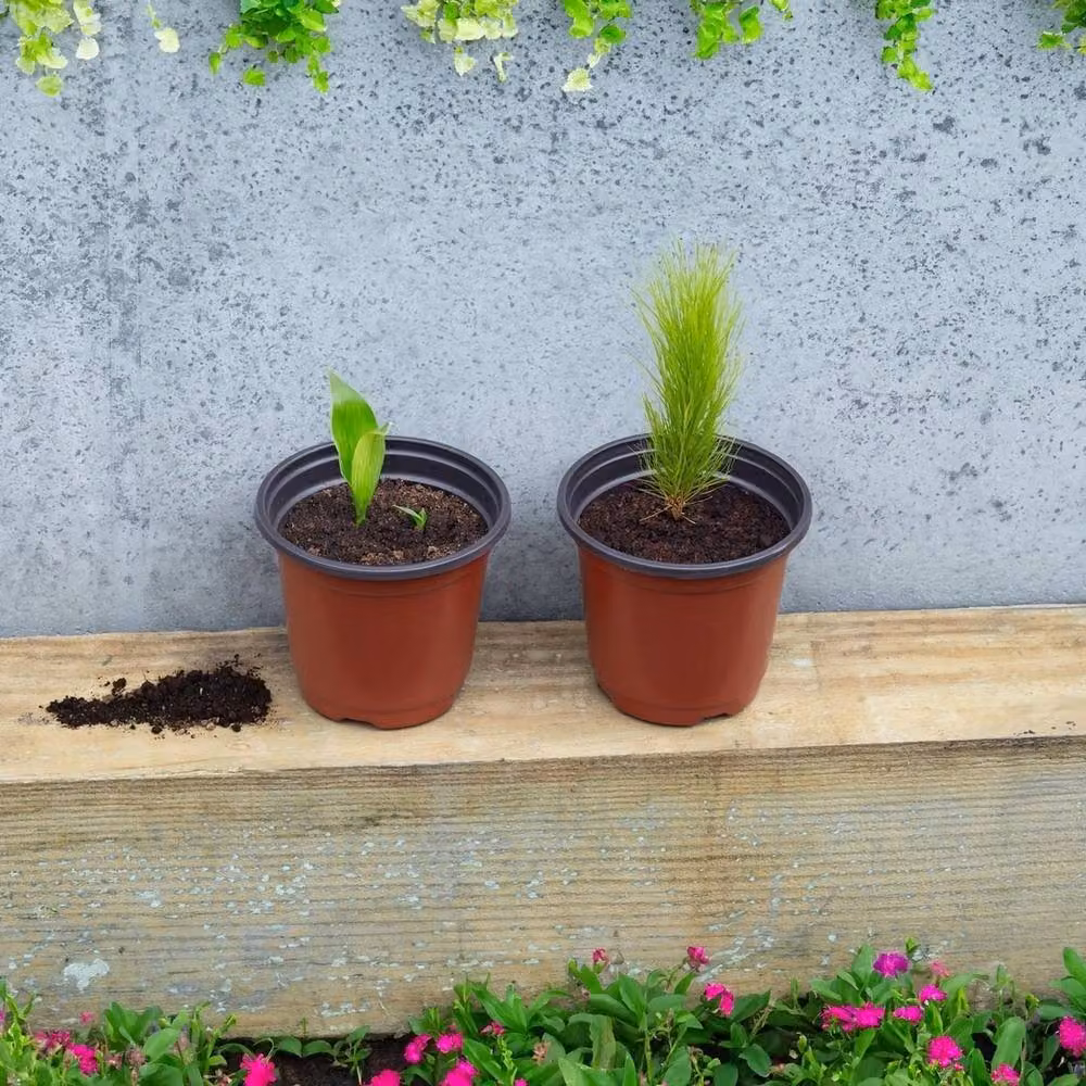 SPETLEK 100 Pack Brown Plastic Plant Pots, 10 cm – 2