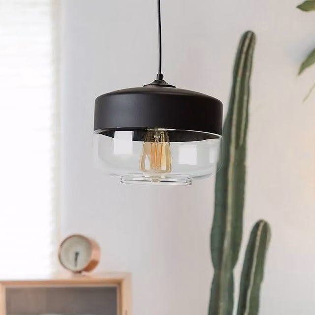Wyld and Coco Modern Round Glass Pendant Lamp in Black and Transparent