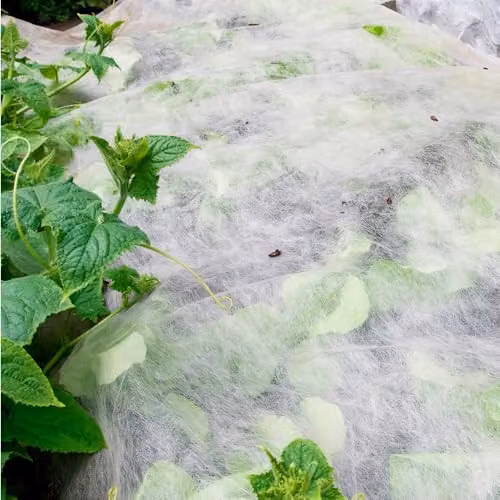 YouGarden Frost Protection Fleece Rolls, White, 3 x W: 1 m x L: 15 m – 2