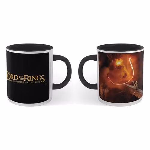 Zavvi Lord of the Rings You Shall Not Pass Ceramic Mug in Black and Multicolour