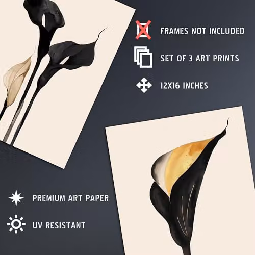 Artery8 Set of 3 Abstract Black and Gold Calla Lily Flower Wall Art Paper Poster Prints, W/H: 30.48 x 40.64 cm – 3