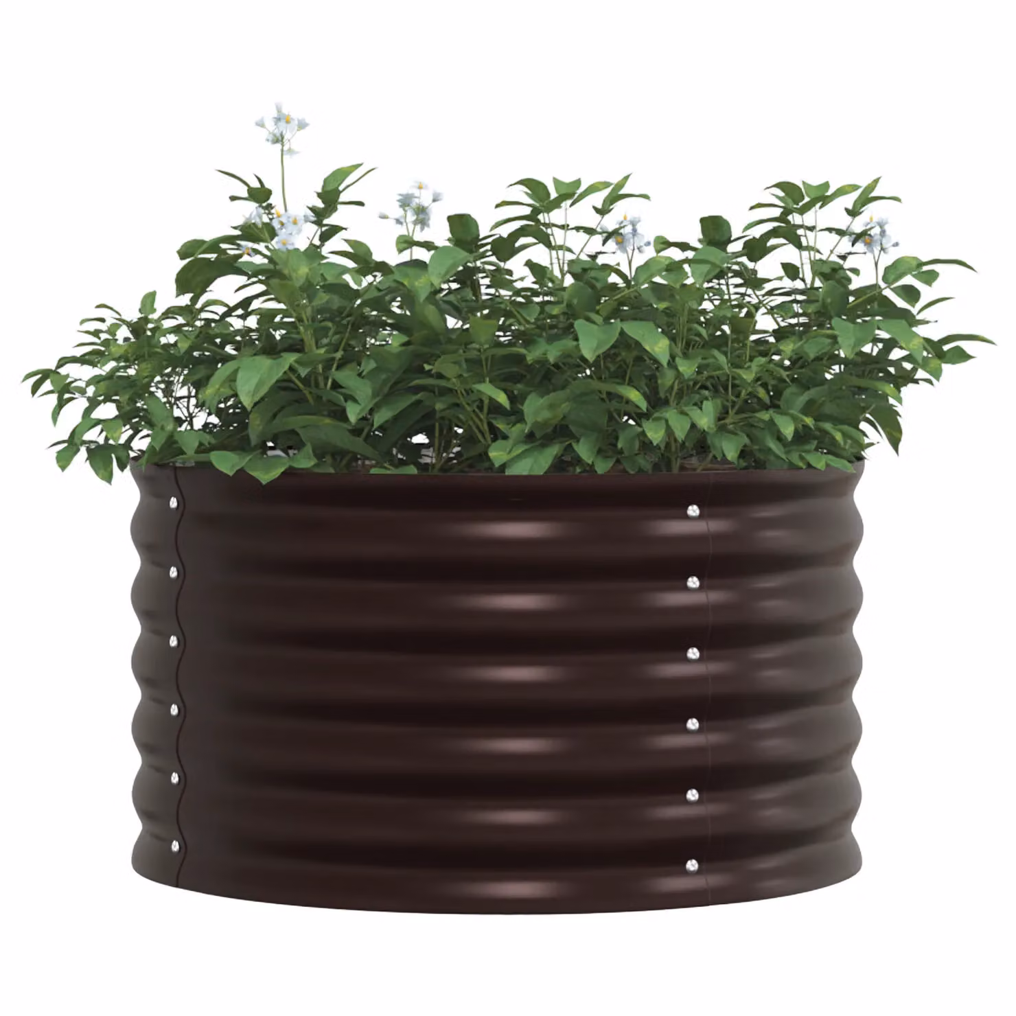 Berkfield Home Garden Raised Bed in Brown Galvanised Steel, W/D/H: 80 x 80 x 44 cm – 3