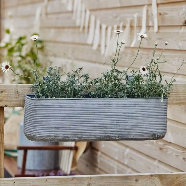 Ivyline Matlock Metal Window Box Planter, Grey, H: 23 cm, W: 50 cm
