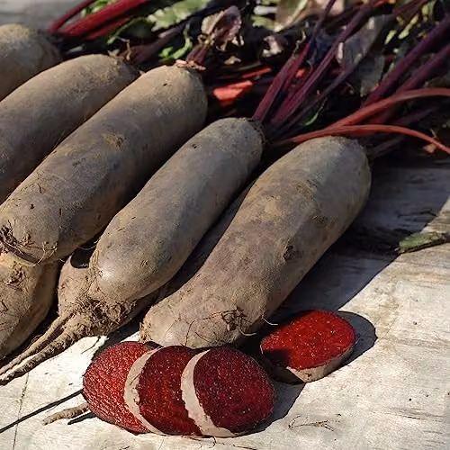 Thompson and Morgan Beetroot Alto F1 Hybrid Red Vegetable Seeds, 250 Seeds – 5